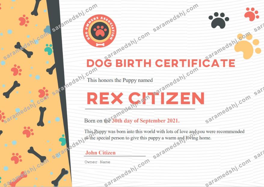 USA Dog Birth cert